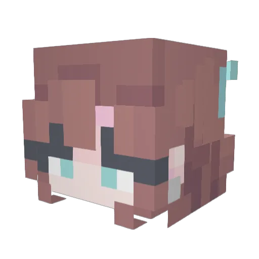 NinjaSR6 Minecraft avatar head, 3D render