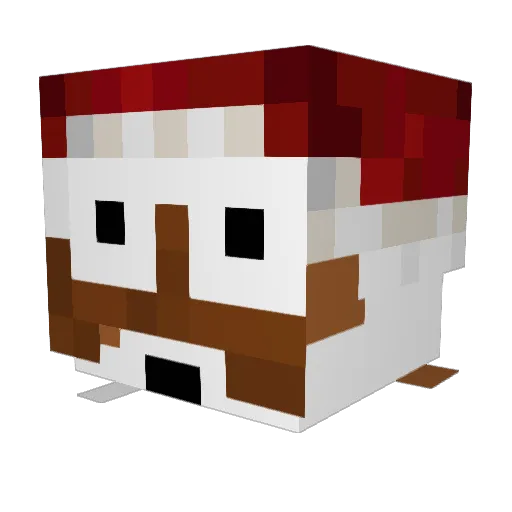 NinjaSSG Minecraft avatar head, 3D render