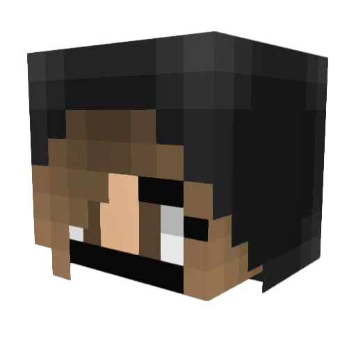 NinjaSinger Minecraft avatar head, 3D render