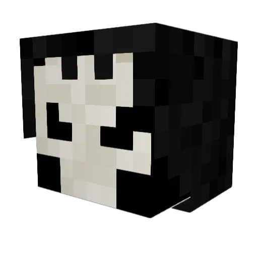 NinjaSkeleton11 Minecraft avatar head, 3D render