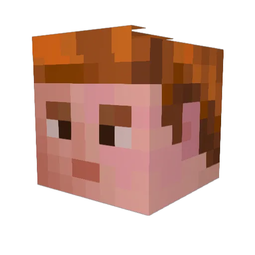NinjaStar716 Minecraft avatar head, 3D render
