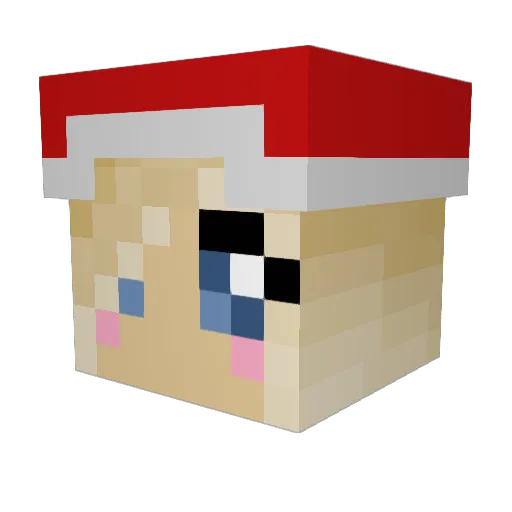 NinjaStar_g Minecraft avatar head, 3D render