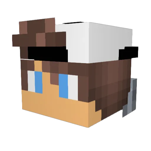 NinjaSwerve245 Minecraft avatar head, 3D render