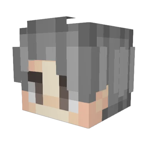 NinjaToonz Minecraft avatar head, 3D render