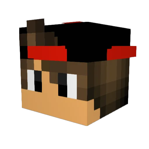 NinjaTurtle333 Minecraft avatar head, 3D render