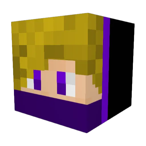NinjaTw3nty1 Minecraft avatar head, 3D render