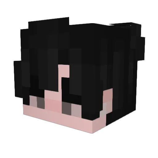 NinjaUS Minecraft avatar head, 3D render