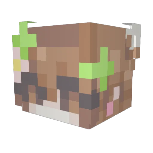 NinjaUniverse Minecraft avatar head, 3D render