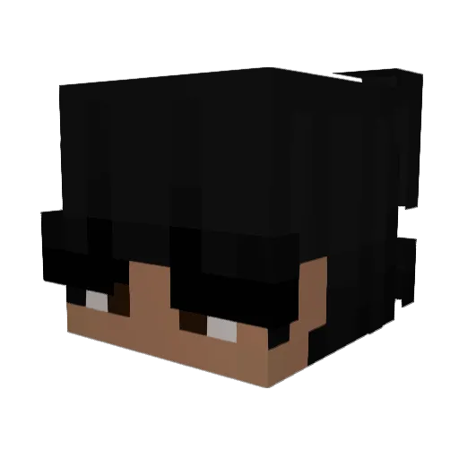 NinjaVIP100 Minecraft avatar head, 3D render