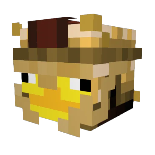 NinjaVillagerBen Minecraft avatar head, 3D render