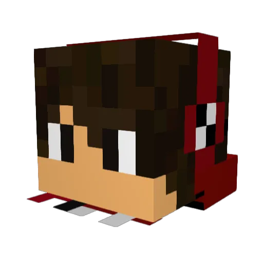 NinjaVoid Minecraft avatar head, 3D render