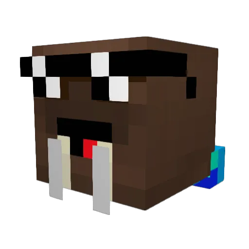 NinjaWalrusJack Minecraft avatar head, 3D render