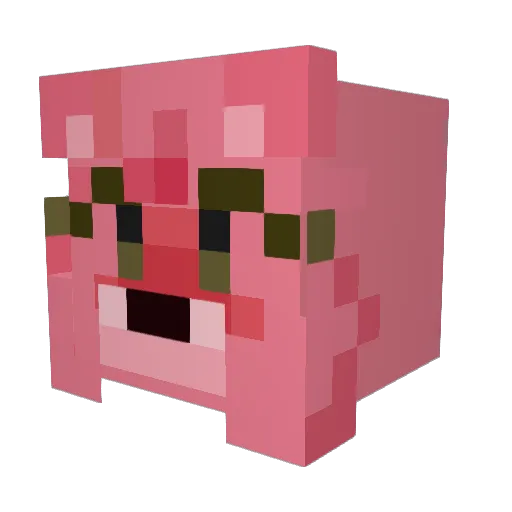 NinjaWarrior1211 Minecraft avatar head, 3D render