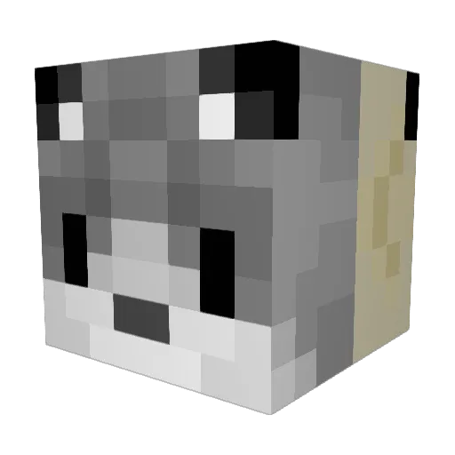NinjaWolf1234 Minecraft avatar head, 3D render