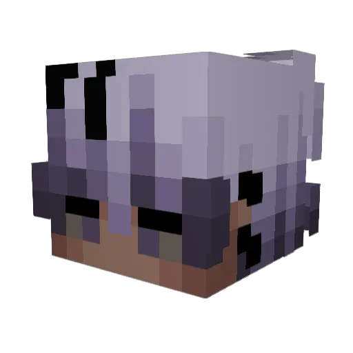 NinjaX2009 Minecraft avatar head, 3D render