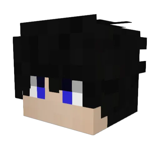 Ninja_320 Minecraft avatar head, 3D render