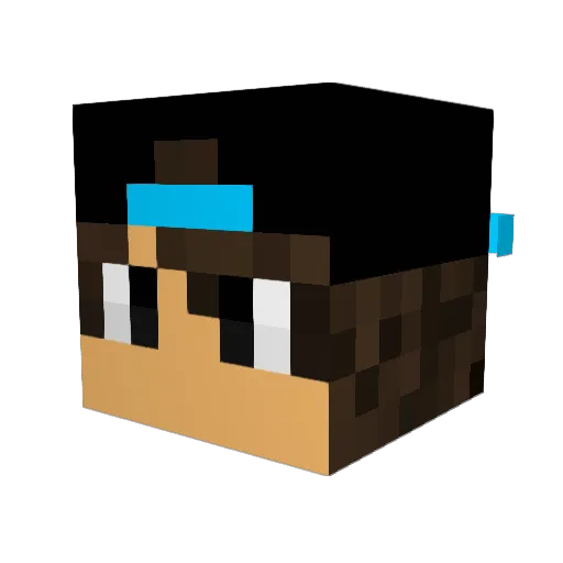 Ninja_AfoMad Minecraft avatar head, 3D render