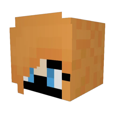 Ninja_Angel Minecraft avatar head, 3D render