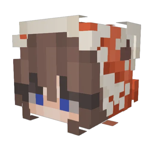 Ninja_Blaziken Minecraft avatar head, 3D render