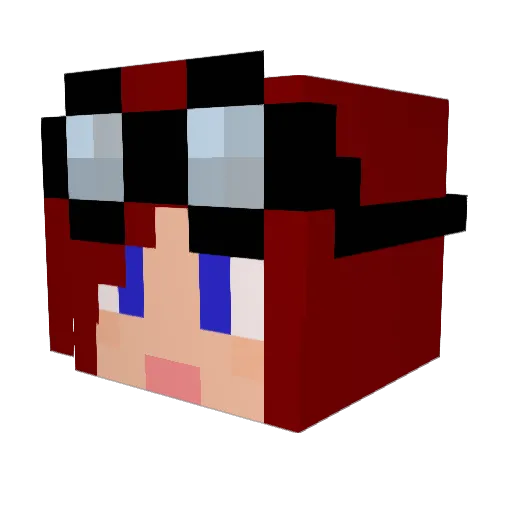Ninja_Chipmunk Minecraft avatar head, 3D render