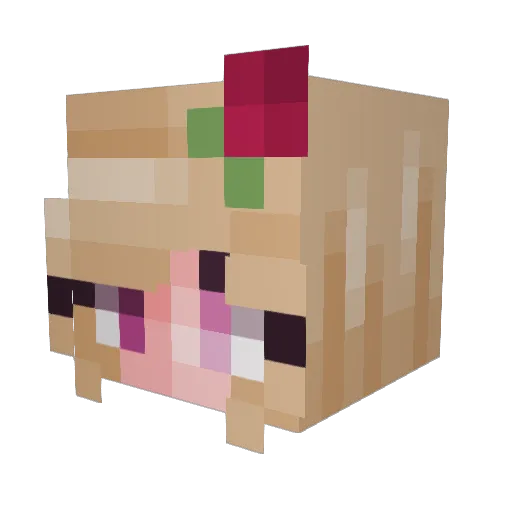 Ninja_Cookie_ Minecraft avatar head, 3D render