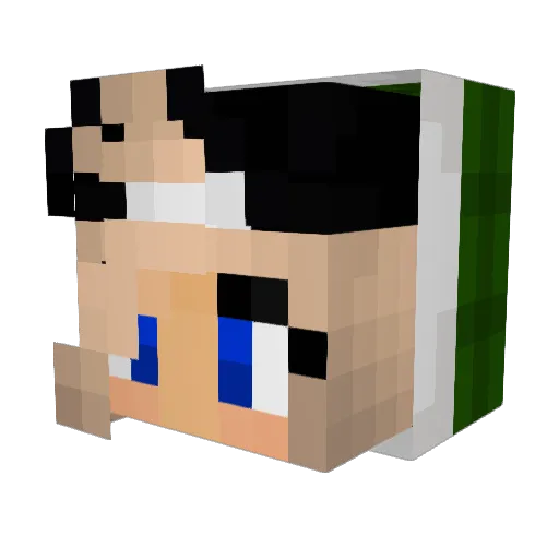 Ninja_Dude98 Minecraft avatar head, 3D render