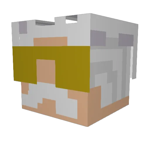 Ninja_Fire2024 Minecraft avatar head, 3D render