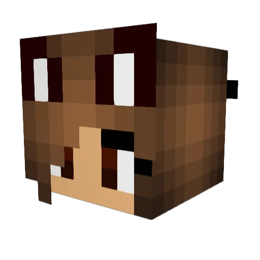 Ninja_Girl6754 Minecraft avatar head, 3D render