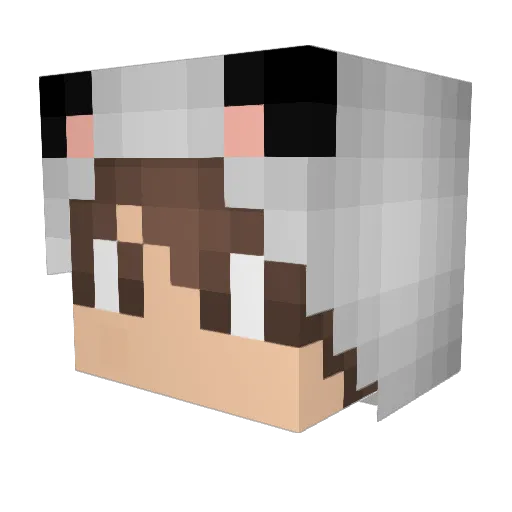 Ninja_Hampster Minecraft avatar head, 3D render