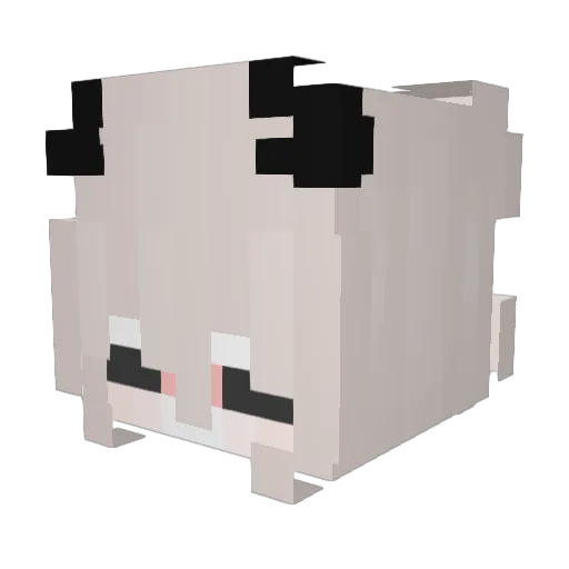 Ninja_Iris Minecraft avatar head, 3D render