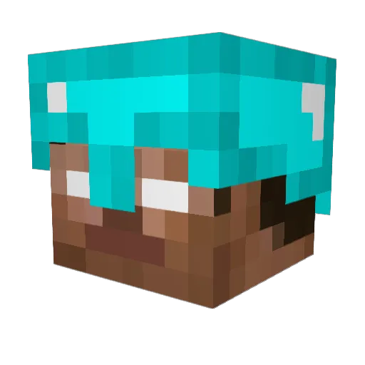 Ninja_Kiwi Minecraft avatar head, 3D render