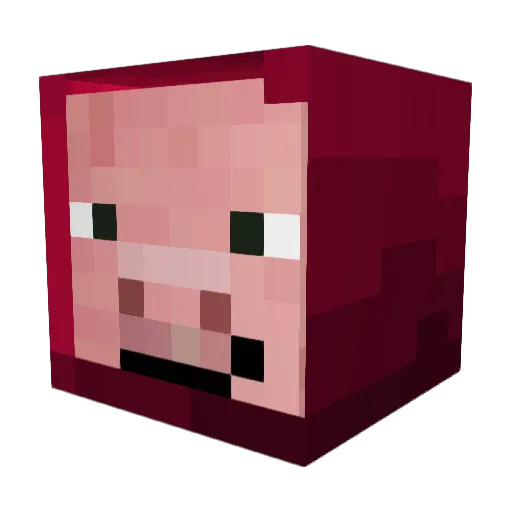 Ninja_MEC Minecraft avatar head, 3D render