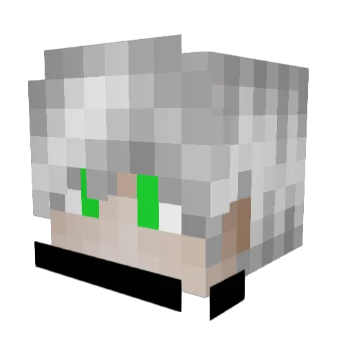 Ninja_Or Minecraft avatar head, 3D render