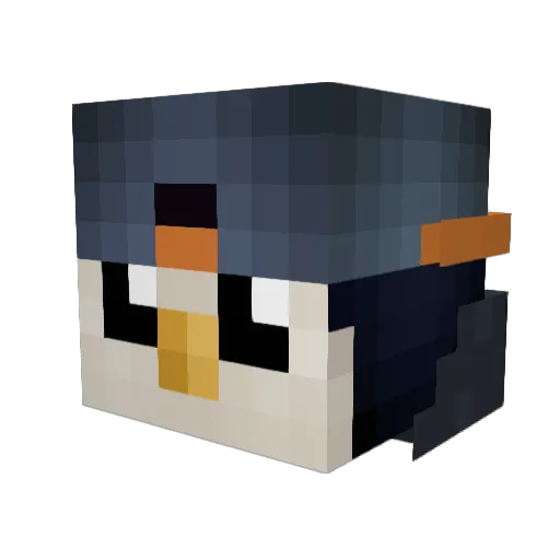 Ninja_Penguin32 Minecraft avatar head, 3D render