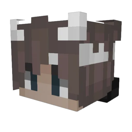 Ninja__Monkey Minecraft avatar head, 3D render