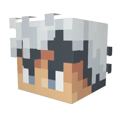 Ninja_hd Minecraft avatar head, 3D render