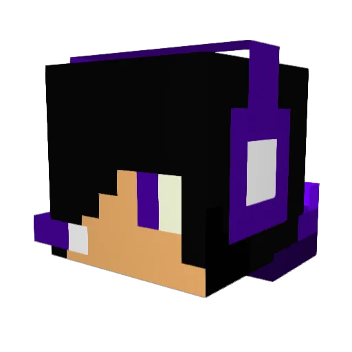 Ninja_in_Pijama2 Minecraft avatar head, 3D render