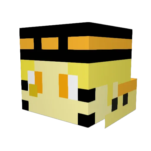 Ninja_man87 Minecraft avatar head, 3D render