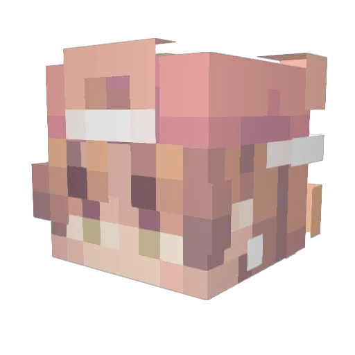 Ninja_x3 Minecraft avatar head, 3D render