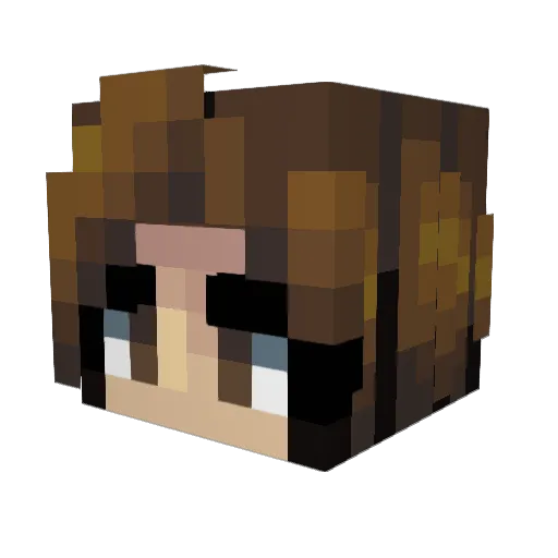 Ninjabadman Minecraft avatar head, 3D render