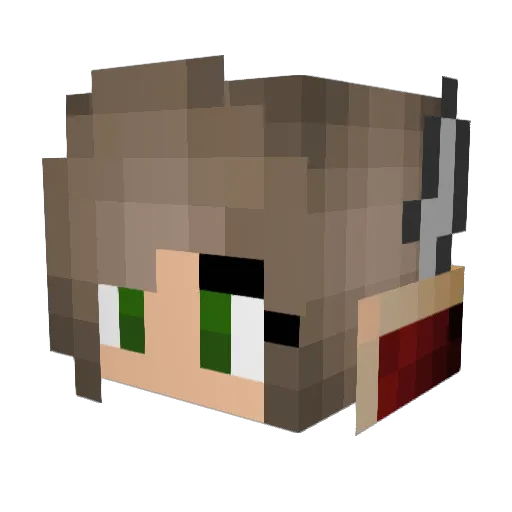 Ninjaboo739 Minecraft avatar head, 3D render