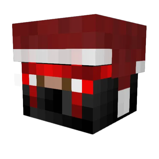 Ninjaboy014 Minecraft avatar head, 3D render