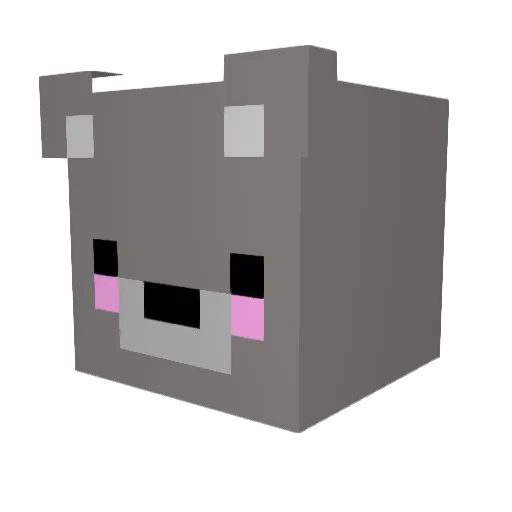Ninjabros5000 Minecraft avatar head, 3D render