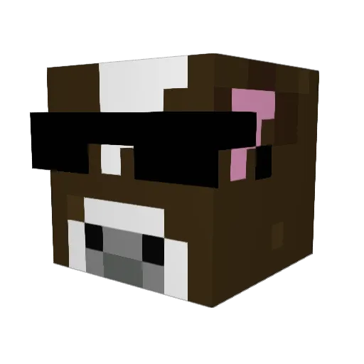 Ninjacat105 Minecraft avatar head, 3D render
