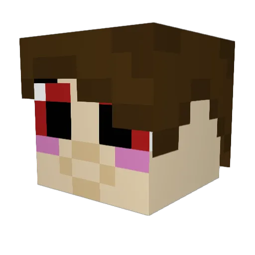 Ninjacool007 Minecraft avatar head, 3D render