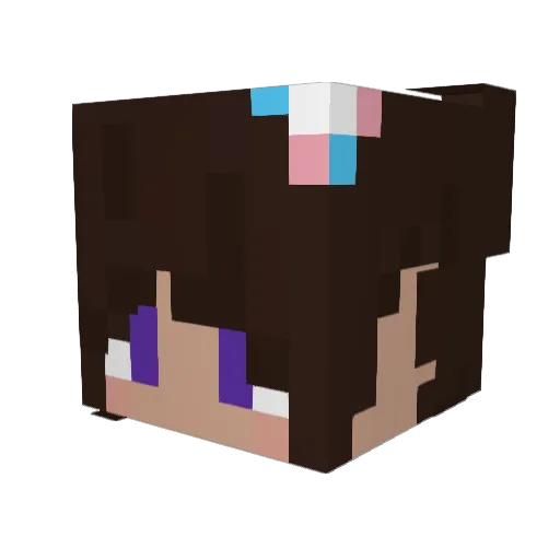 Ninjacweeper Minecraft avatar head, 3D render