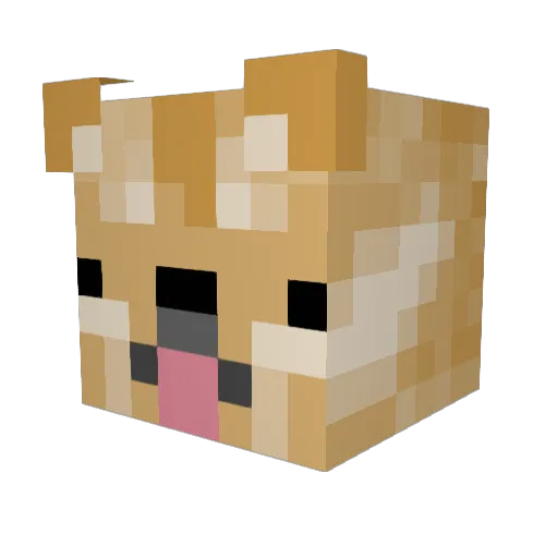 Ninjadoge98 Minecraft avatar head, 3D render