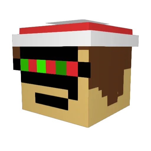 Ninjadragonstar1 Minecraft avatar head, 3D render