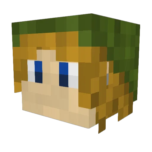 NinjadudeBruce Minecraft avatar head, 3D render