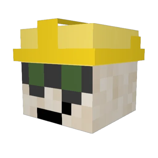 Ninjae5567 Minecraft avatar head, 3D render